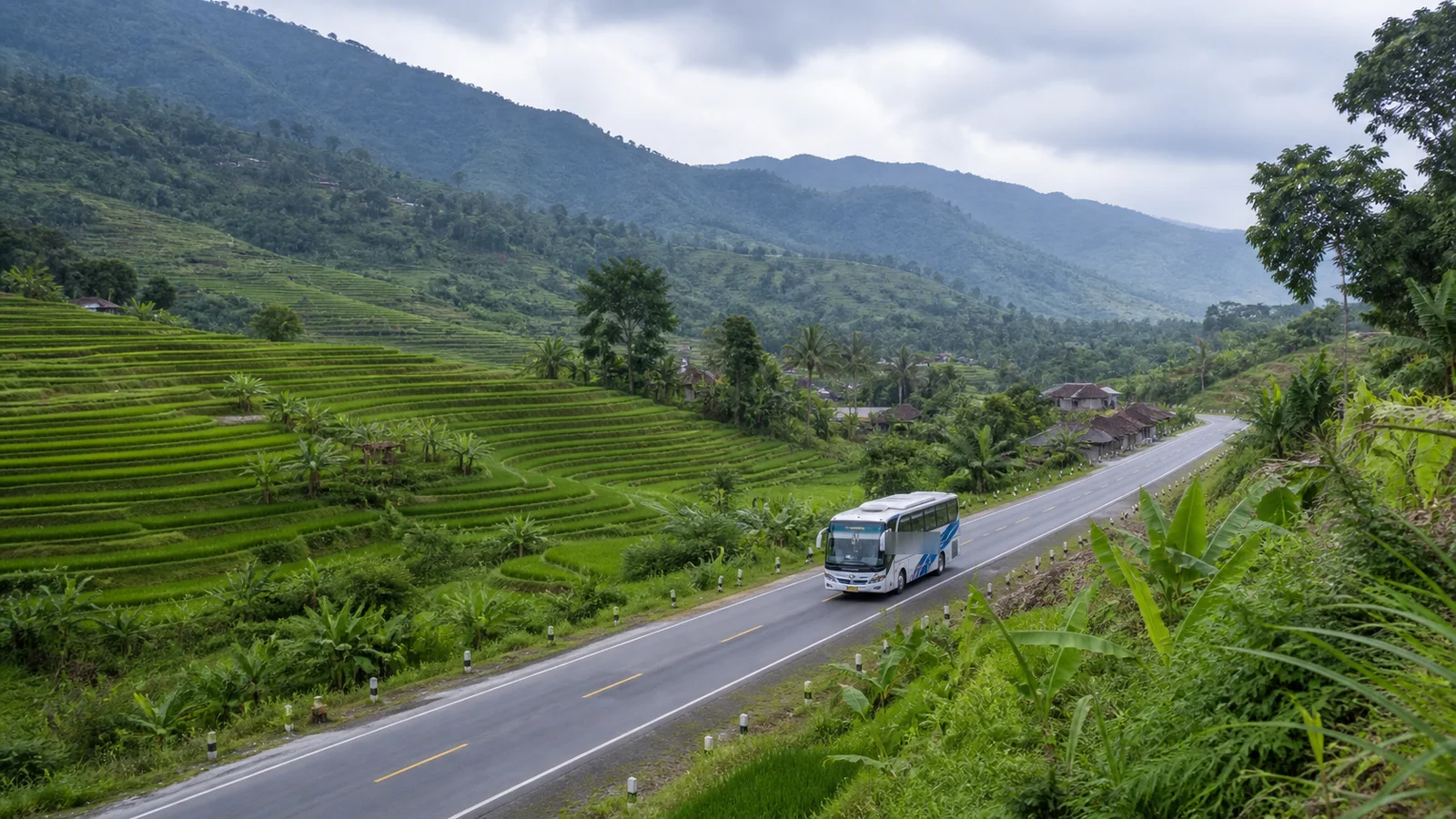 Bus melintasi jalan pegunungan Jawa Barat di antara sawah terasering.